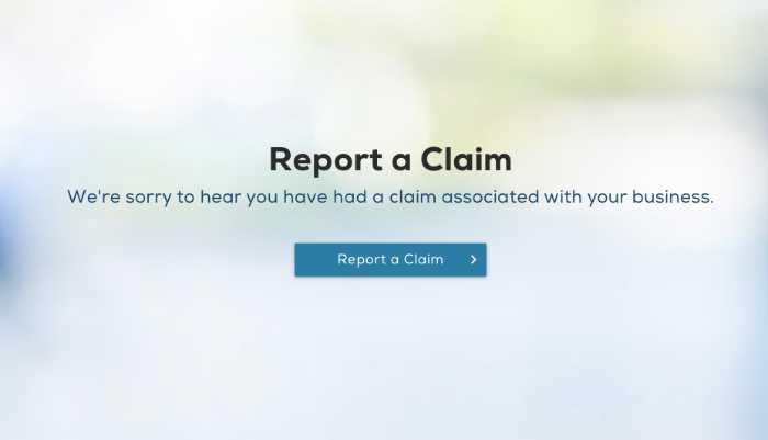 review this biBerk report a claim process