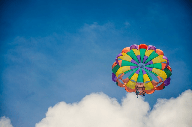 pet groomer parachute